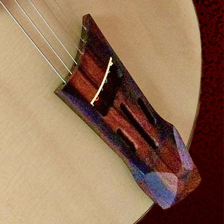 Neo-Style Tailpiece