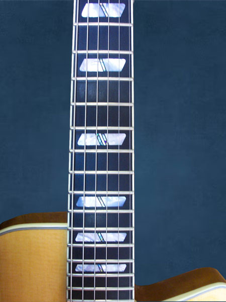 Pearl Fret Markers